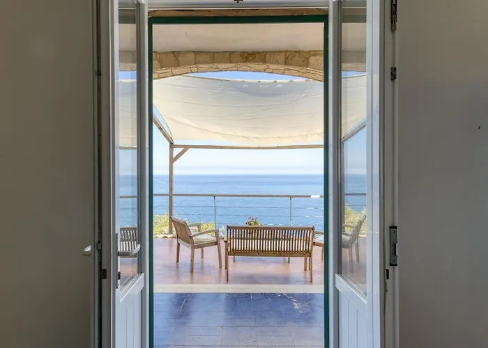 Belvedere Luxury E *