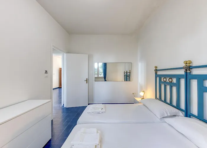 Belvedere Luxury E *